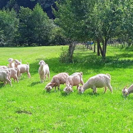 Au Mohair Des Alpy Fougax-et-Barrineuf Εξωτερικό φωτογραφία